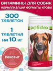 Polidex Recovit кормовая добавка для восстановления организма собак после укуса клеща, операций, травм, потерь крови Полидекс Рековит,300таб