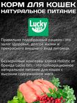 Lucky bits Holistic беззерновой полнорационный консервированный корм для кошек старше 3 месяцев филе кролика с клюквой,100г