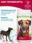 Polidex Recovit кормовая добавка для восстановления организма собак после укуса клеща, операций, травм, потерь крови Полидекс Рековит,300таб