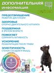 Polidex Glucogextron PLUS кормовая добавка для собак для профилактики повреждений и восстановления суставов, связок, сухожилий, соединительной ткани Полидекс Глюкогекстрон Плюс, 500таб