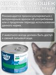 Lucky bits Renal 12 банок по 240г полнорационный консервированный диетический корм при хронической почечной недостаточности и ее осложнениях, у взрослых и стареющих кошек