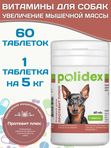 Polidex Protevit Plus для собак кормовая добавка для увеличения мышечной массы, Полидек Протевит Плюс, 60 таб