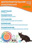 Polidex Immuniti UP для кошек, Кормовая добавка для повышения иммунитета часто болеющих животных Полидекс Иммунити Ап, 80 таб