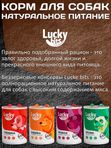 Lucky bits BARF 6 банок по 400г полнорационный консервированный влажный корм для собак всех пород с индейкой, яблоком и морковью