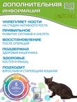 Polidex Gelabon Plus кормовая добавка для кошек и котят Профилактика заболеваний опорно-двигательного аппарата Полидекс Гелабон с Гюкозамином, 200таб