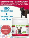 Polidex Recovit кормовая добавка для восстановления организма собак после укуса клеща, операций, травм, потерь крови Полидекс Рековит, 150 таб