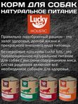 Lucky bits Holistic полнорационный консервированный влажный корм для собак всех пород с индейкой, яблоком и морковью,970г