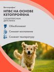 Ветопрофен нестероидный противовоспалительный препарат для средних и крупных собак на основе кетопрофена (Neoterica),10 таб Кетопрофен