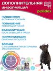 Polidex Recovit кормовая добавка для восстановления организма собак после укуса клеща, операций, травм, потерь крови Полидекс Рековит,300таб