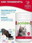 Polidex Recovit для кошек кормовая добавка для восстановления организма после операций, травм, больших потерь крови, Полидекс Рековит, 80 таб