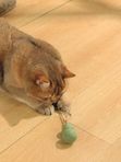 M-PETS Игрушка для кошек с кошачьей мятой CHARMY снеговик