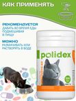 Polidex Immuniti UP для кошек кормовая добавка для повышения иммунитета часто болеющих животных Полидекс Иммунити Ап, 200 таб
