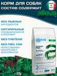 Корм Аллева Холистик Holistic Ocean Fish + Hemp & Aloe vera Medium/Maxi для взрослых собак средних и крупных пород, с океанической рыбой и алое вера,12кг