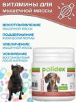 Polidex Protevit Plus для собак Кормовая добавка для увеличения мышечной массы, Полидек Протевит Плюс, 150 таб