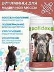 Polidex Protevit Plus для собак Кормовая добавка для увеличения мышечной массы Полидек Протевит Плюс, 300 таб