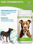 Polidex Immunity Up витаминный комплекс для ослабленных и часто болеющих собак Полидекс Иммунити Ап, 500 таб