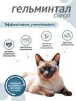 Сироп от гельминтов, профилактика дирофиляриоза для кошек менее 4 кг Гельминтал (Neoterica), 5мл. Празиквантел/ Моксидектин