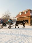 Новогодние краски Минска, 4 дня