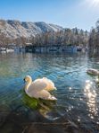 Автобусный тур. В краю легенд и горных водопадов: Северная Осетия. Озера, водопады, термы, осетинские пироги :)