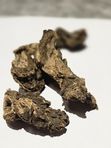 Корень дягиля 50 гр для настоек и джина натуральный цельный (ангелика)