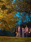 Площадка для мероприятий Open Air