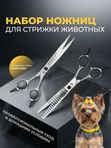 Набор ножниц для стрижки животных KOMONDOR NK-002, 7 дюймов, изогнутые и шанкерные