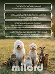 MILORD Премиум шампунь GOLD Super Regeneration восстанавливающий, 500 мл