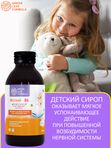 Магний В6 для детей сироп растительный, для сна и нервной системы, для укрепления иммунитета, 100 мл