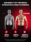 Креатин Моногидрат порошок Red Phoenix / Creatine Monohydrate Без вкуса, 500 гр /100 порций