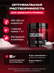 Креатин Моногидрат порошок Red Phoenix / Creatine Monohydrate / спортивное питание для набора массы и роста мыщц, Без вкуса, 200 гр /40 порций