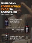 Шампунь мужской и гель для душа, 2 в 1, Barber line, аромат Leather & Salt, 500 мл