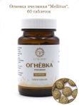 Огневка пчелиная "Mellitus" (60 таблеток по 500 мг, ПЭТ)