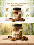 Чага, микронизированный порошок (тонкий помол)