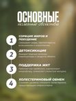 Хитозан Стандарт, 925 мг, 60 капсул