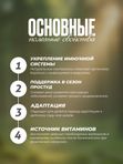 Витамишки Иммуно - жевательные пастилки со вкусом малины, 60 шт, 2200 мг