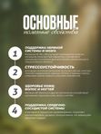 Витамины группы B, комплекс, капсулы 60 шт - энергия и здоровье нервов