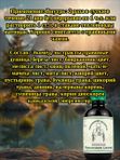 Эликсир Нормализация давления, 200 мл