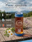 Термос "Эльгария" для чая и кофе, стеклянная колба, синий, 400 мл
