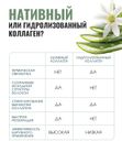 Сыворотка с нативным коллагеном и гиалуроновой кислотой для кожи лица Лекол / Lecol