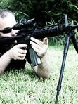 Cошки Firefield Bipod на антабку, 22,8 -35,5см