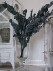 Стабилизированный эвкалипт