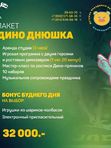 Пакет « Дино Днюшка»