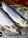 Сельдь Олюторская крупная