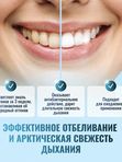 Зубная паста Бланкс Нордик Вайт BlanX Nordic White