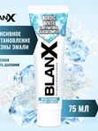 Зубная паста Бланкс Нордик Вайт BlanX Nordic White