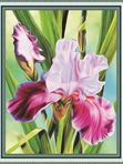 Алмазная мозаика 40*50см HWA 4465 Красивые цветы (несколько вариантов)