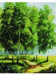 Алмазная мозаика 40*50см Березовая роща