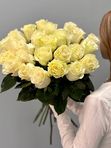 Акция! от 25шт белые розы Эквадор в ленте