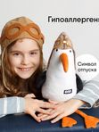 Чайка Летчик