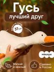Гусь